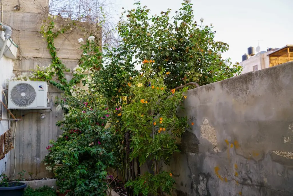 spring heat pump tune up residential outdoor unit in garden setting - spring heat pump tune up what to expect